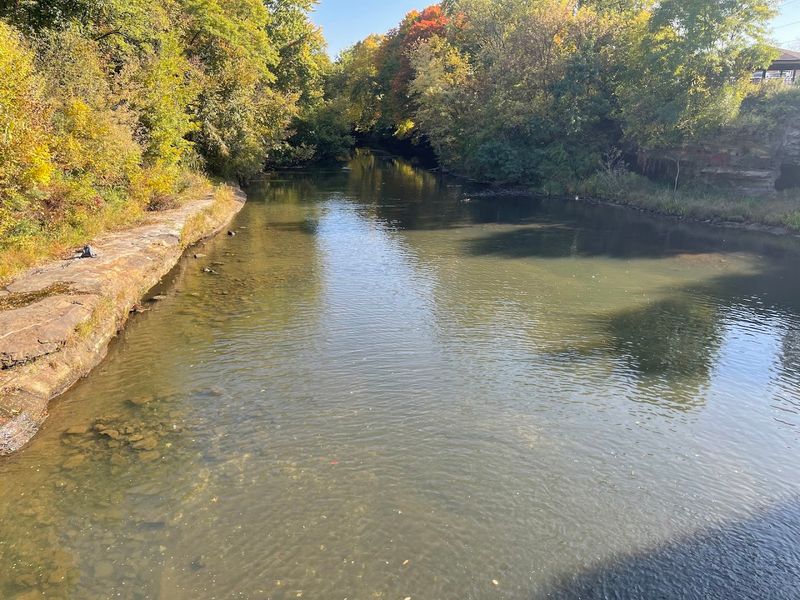 Stunning Fall Foliage and Four Distinct Seasons