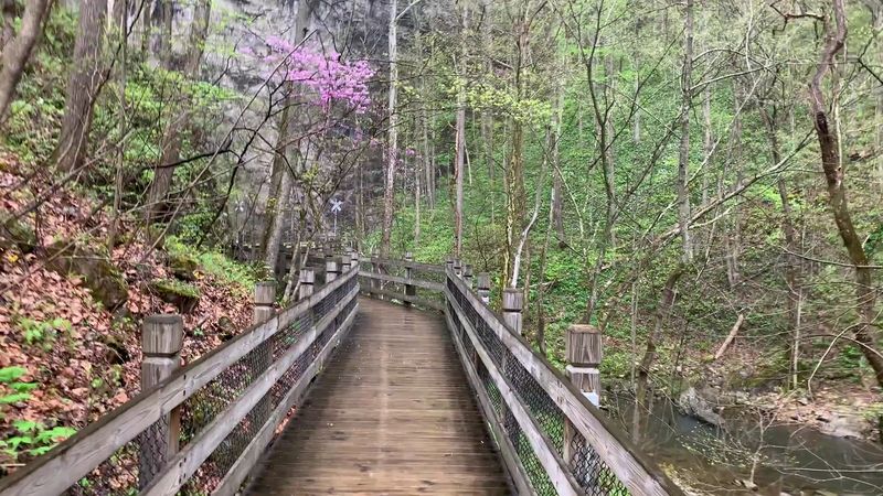 Stunning Overlook Pathways Accessible to All Visitors