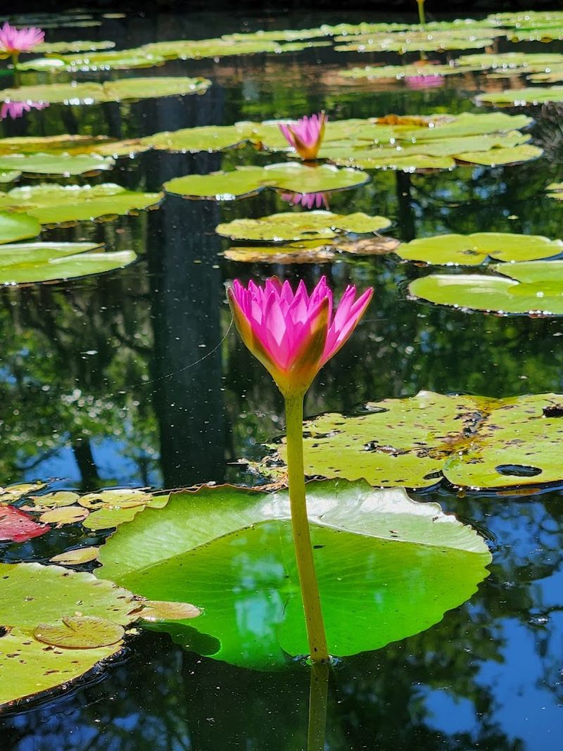 Stunning Photo Opportunities Around Every Corner