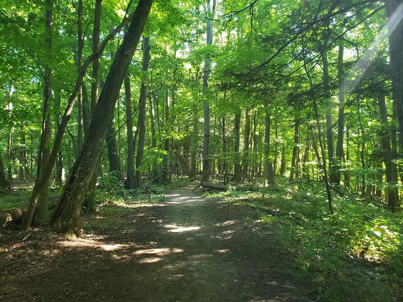 Stunning Seasonal Changes That Make Every Visit Feel New