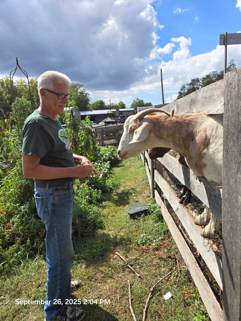 Stunning Seasonal Gardens and Friendly Goats