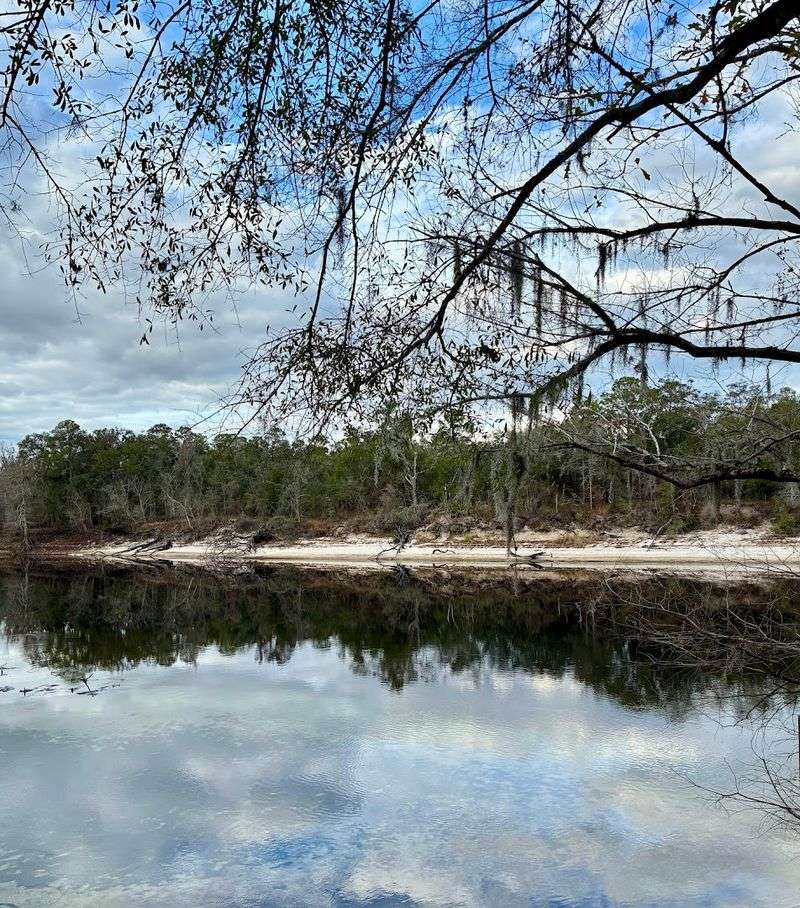 Stunning Views of the Suwannee River Right from the Park