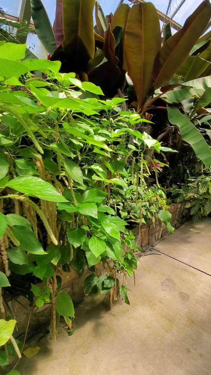 Subtropical Gardens That Feel Like Another World