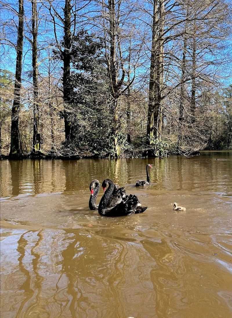 Sumter, South Carolina