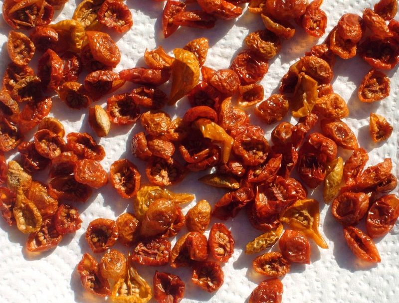Sun Dried Sun Dried