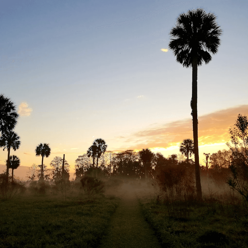 Sunrise Hikes: Why Going Early Changes Everything Sunrise Hikes: Why Going Early Changes Everything