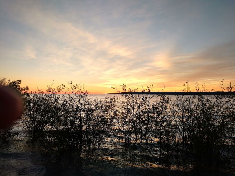 Sunrise Rides: Starting Your Day With Pure Magic
