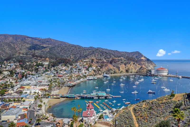 Sunset Cruises and Glass-Bottom Boat Tours