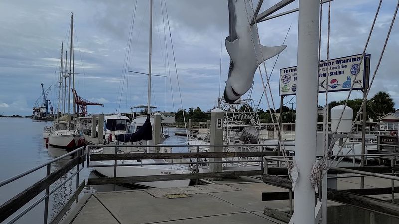 Sunset Cruises on the Amelia River Are Pure Magic