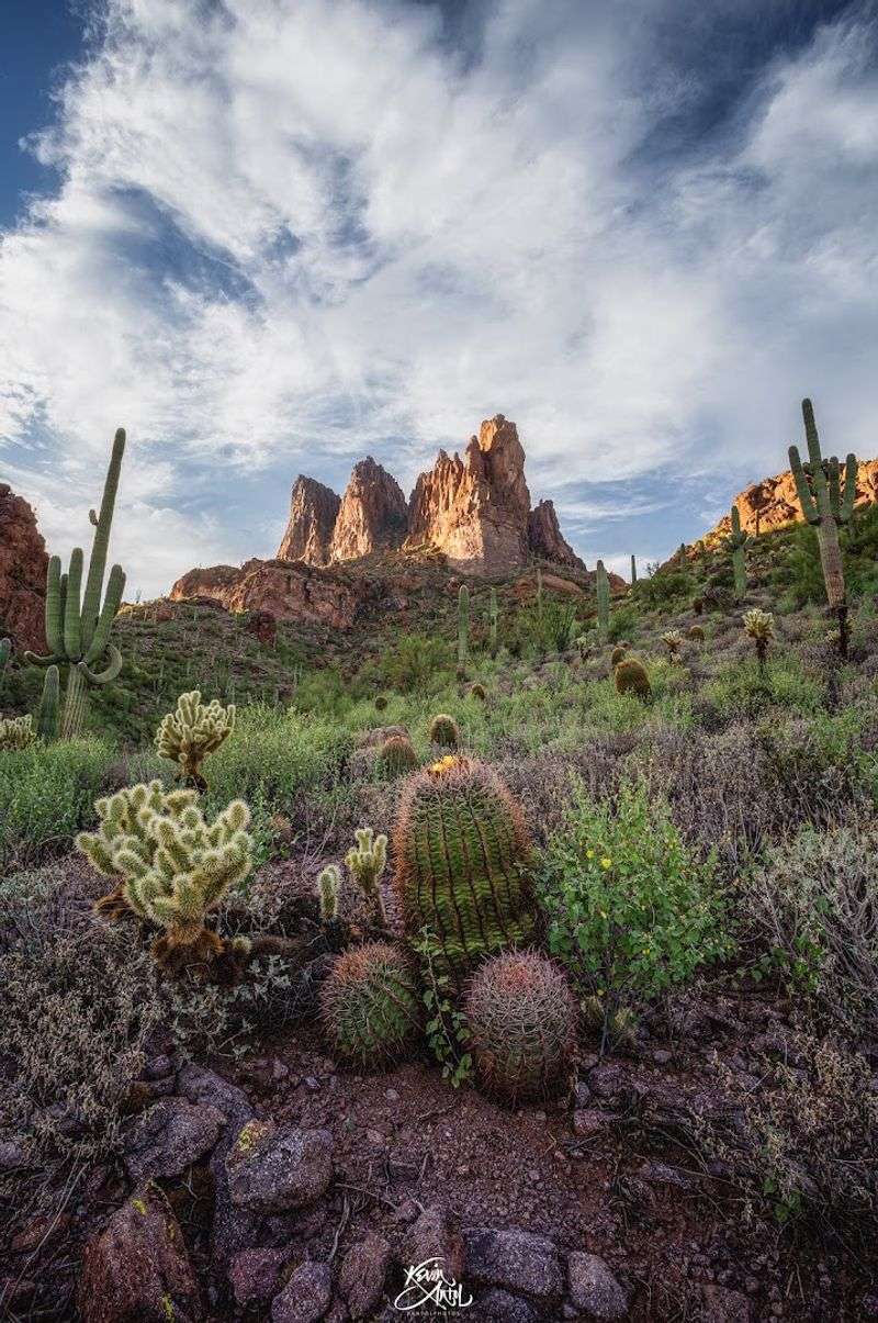 Superstition Wilderness Trails - Apache Junction, Arizona Superstition Wilderness Trails - Apache Junction, Arizona