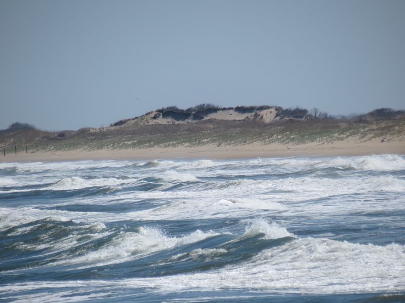 Surfing and Water Sports