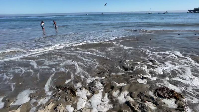Surfing at Capitola Beach