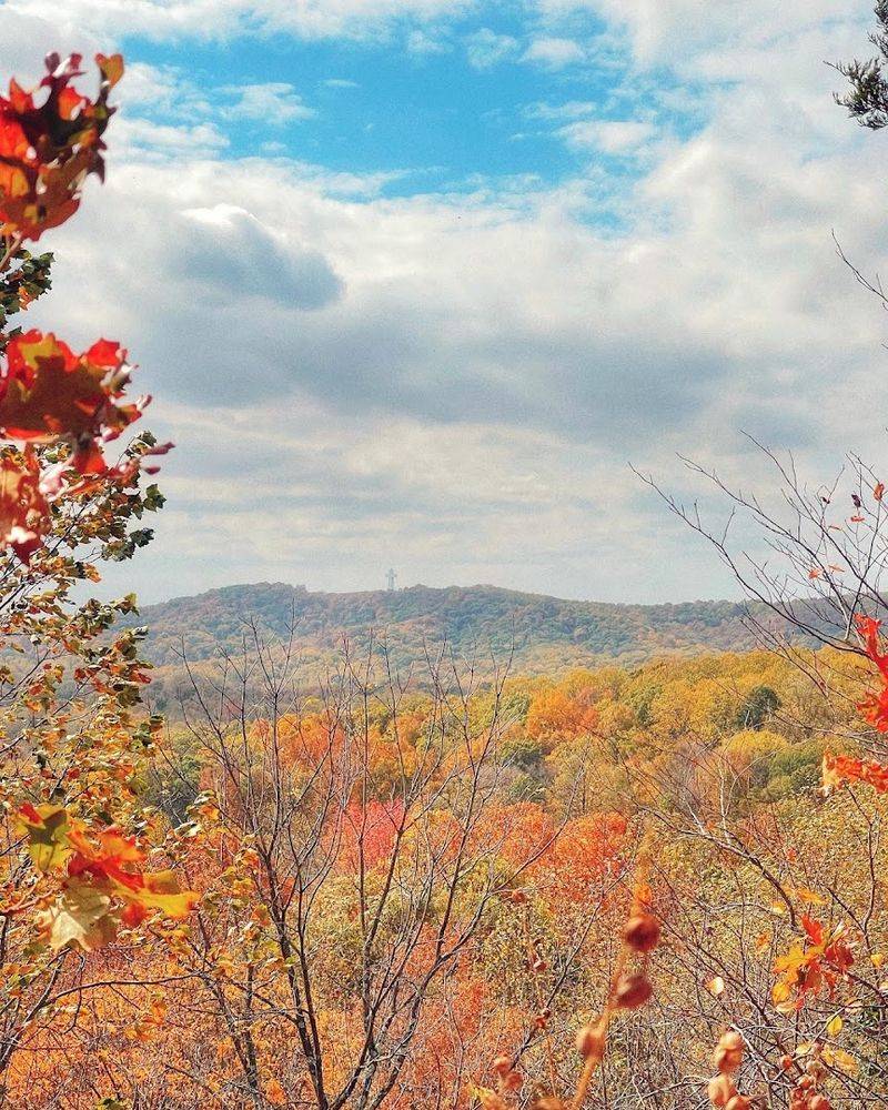 Surrounded by the Beauty of Shawnee National Forest