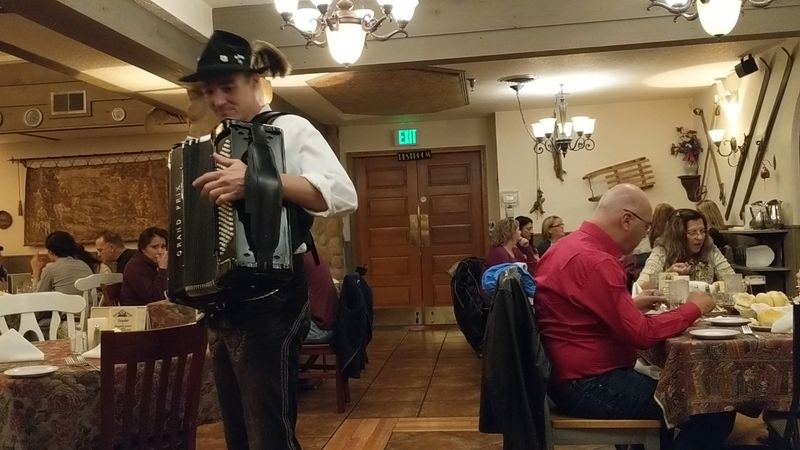 Suzie Squeezebox — The Accordion Player Who Steals the Show