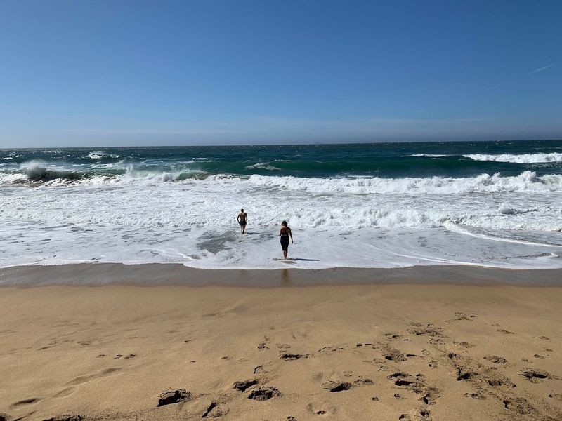 Swimming and Surfing in the Powerful Waves