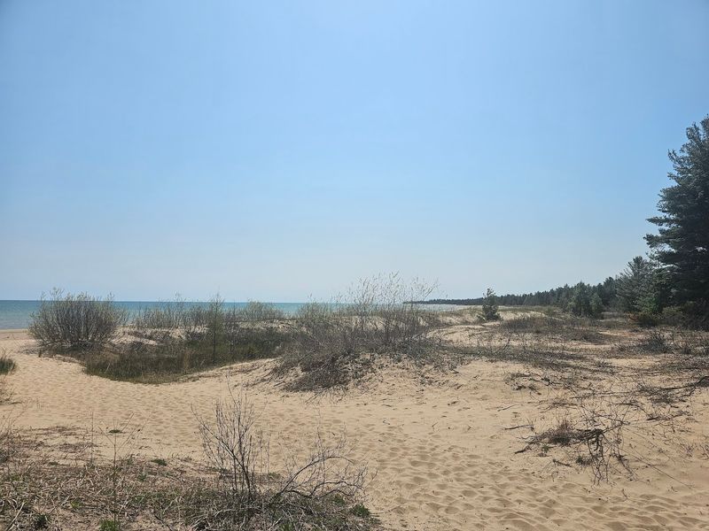 Swimming in Lake Huron With Almost No One Around Swimming in Lake Huron With Almost No One Around