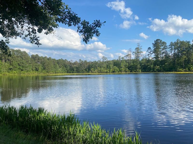 Swimming in the Stocked Ponds