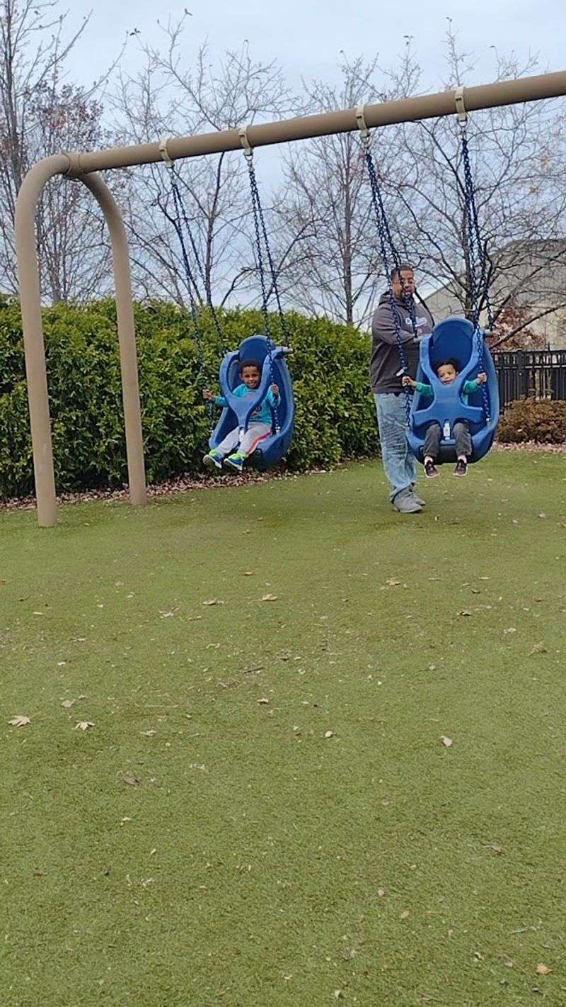 Swings for Every Age Group You Can Think Of