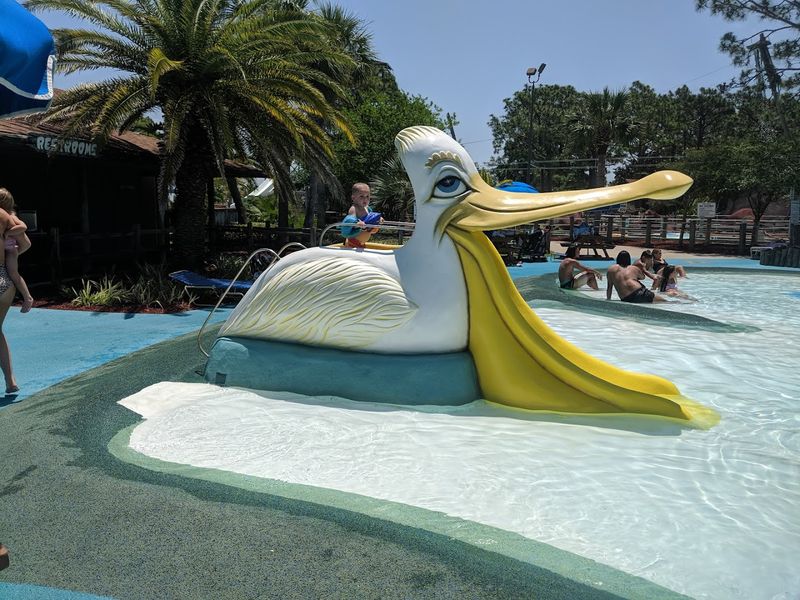 Tadpole Hole: A Splash Pad Paradise for the Littlest Visitors Tadpole Hole: A Splash Pad Paradise for the Littlest Visitors