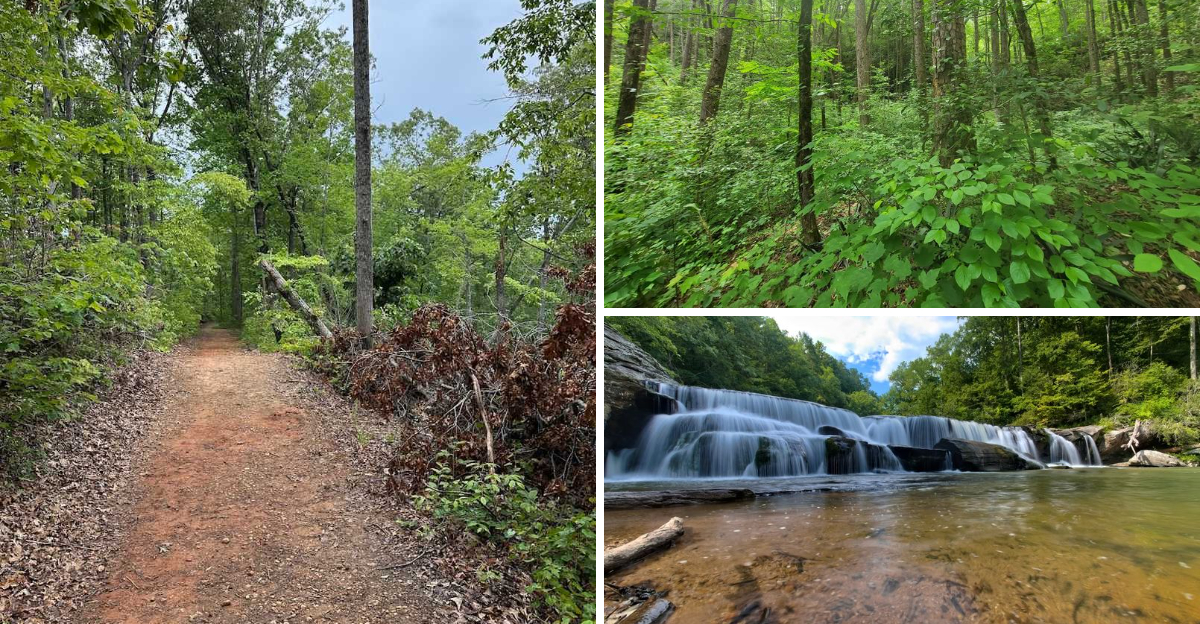 Take a dip at this gorgeous South Carolina waterfall swimming hole that feels almost unreal
