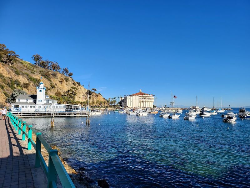 Taking the Ferry — The Scenic Gateway to Avalon