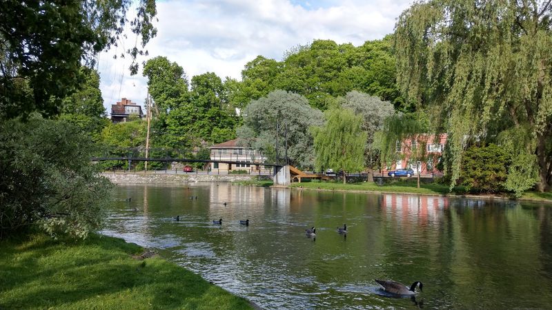Talleyrand Park: A Free Community Gem