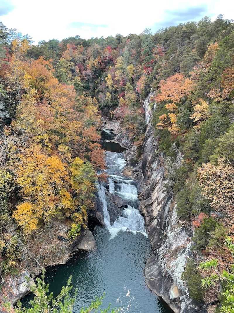 Tallulah Gorge State Park - Tallulah Falls, Georgia Tallulah Gorge State Park - Tallulah Falls, Georgia