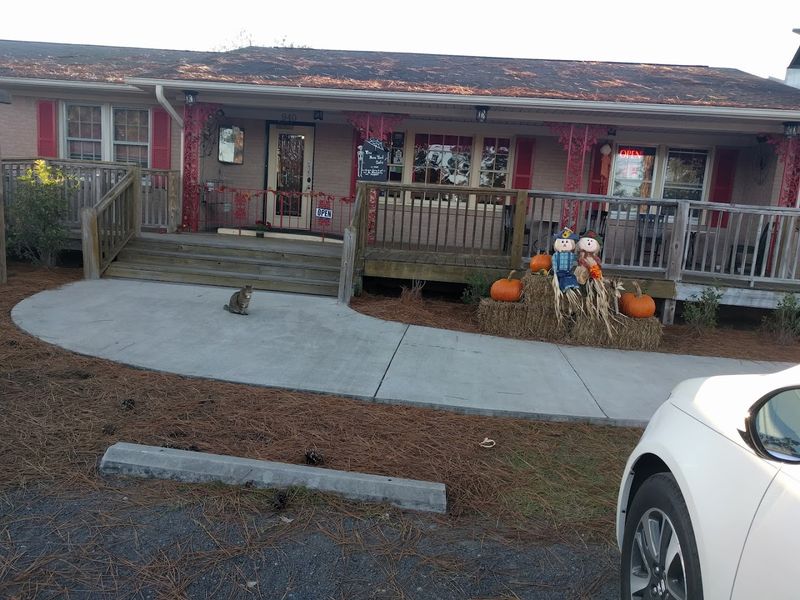 The Adorable Front Porch Cats That Greet Every Guest
