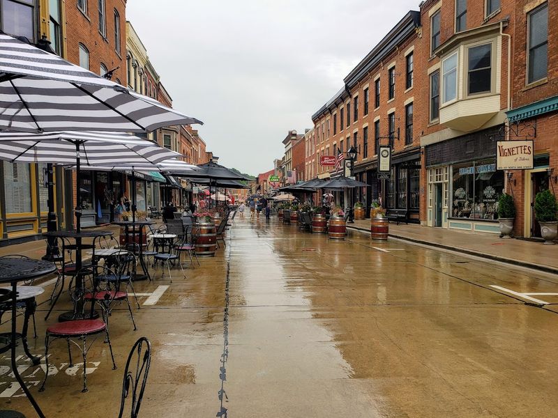 The Annual Galena Country Fair