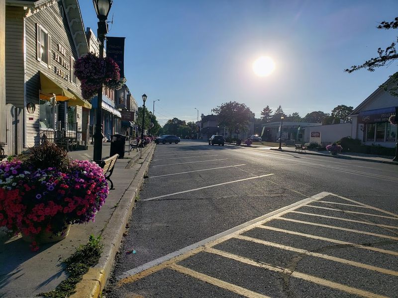 The Annual Lexington Antique Show