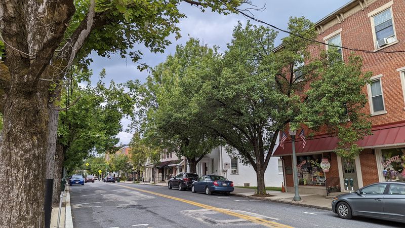The Annual Lititz Outdoor Art Show