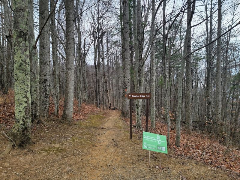 The Appalachian Trail Access