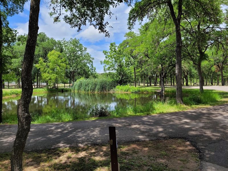 The Artesian Well Pond Near the Campground