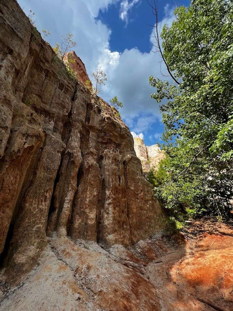 The Backcountry Trail for Serious Adventurers