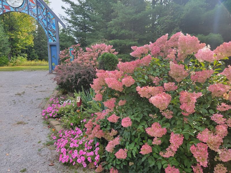 The Beautiful Flower Garden The Beautiful Flower Garden