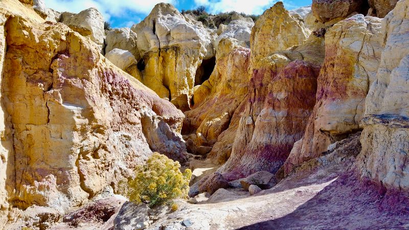 The Best Seasons to Visit for Maximum Wow Factor