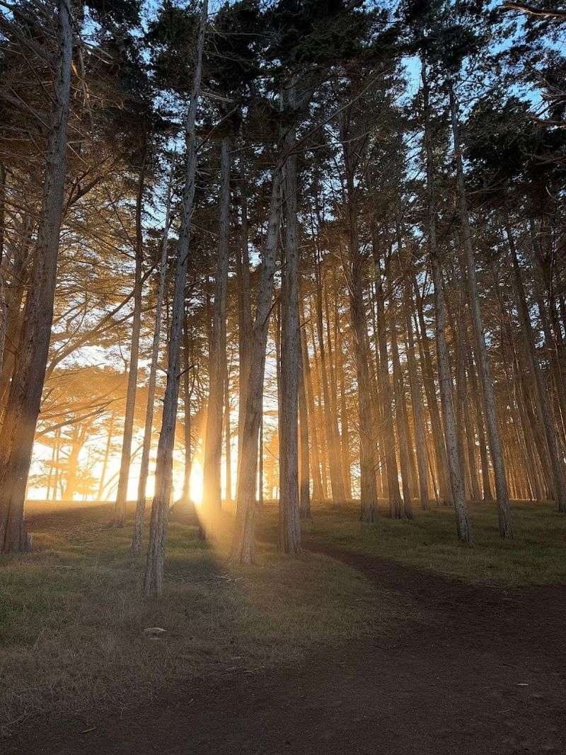 The Best Time of Day to Visit for Jaw-Dropping Photos