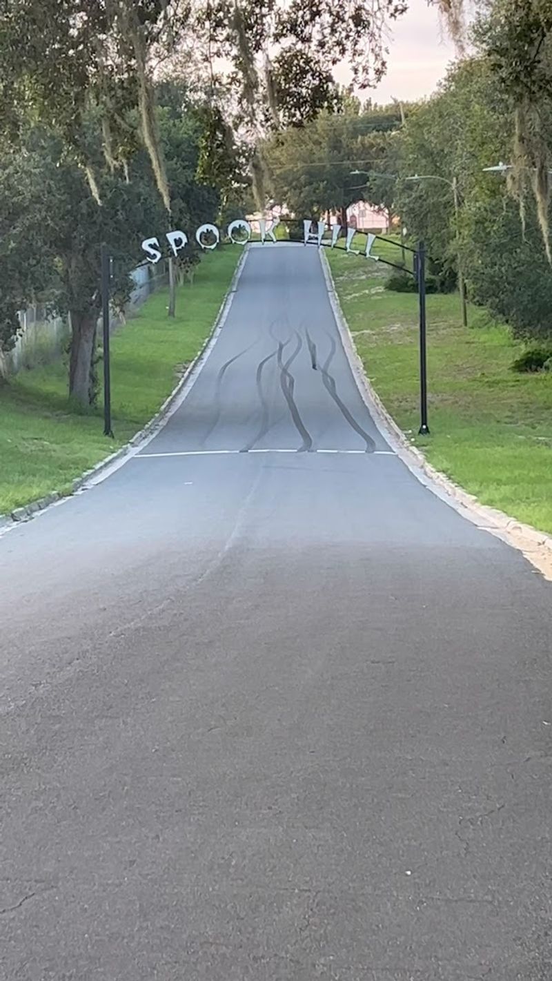 The Best Time to Go for Maximum Fun