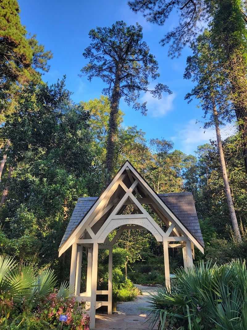 The Blomquist Garden Celebrates North Carolina's Wild Native Plants The Blomquist Garden Celebrates North Carolina's Wild Native Plants