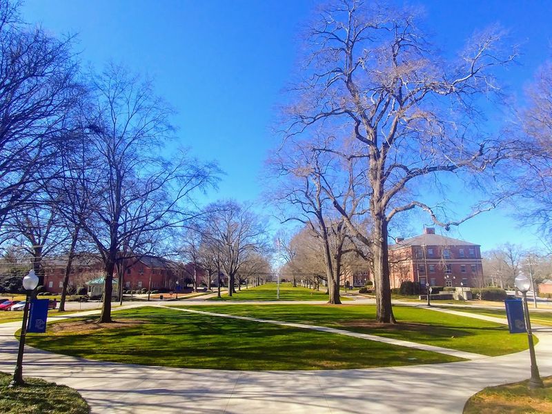 The Blue Hose Spirit: PC Athletics