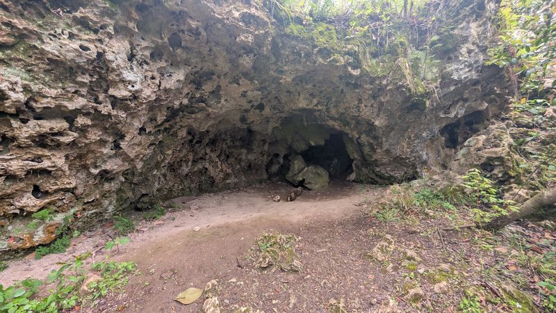 The Bluff Trail Hike to Tunnel Cave