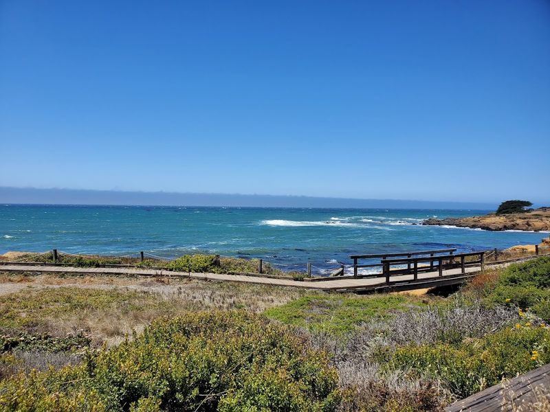 The Boardwalk Itself: A Walk Above the Wild Shore The Boardwalk Itself: A Walk Above the Wild Shore