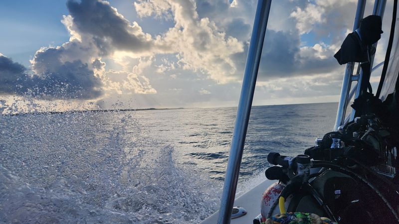 The Boat Is Clean, Fast, and Fully Stocked