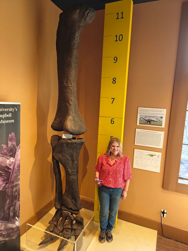 The Bob Campbell Geology Museum Is a Jaw-Dropping Bonus