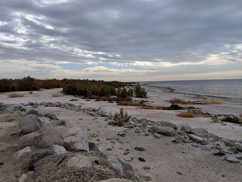 The Bone-Covered Shoreline That Stops You in Your Tracks