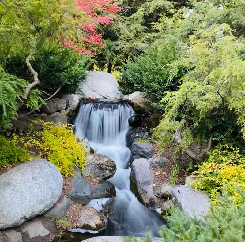 The Butterfly Exhibit: A Flutter of Wonder