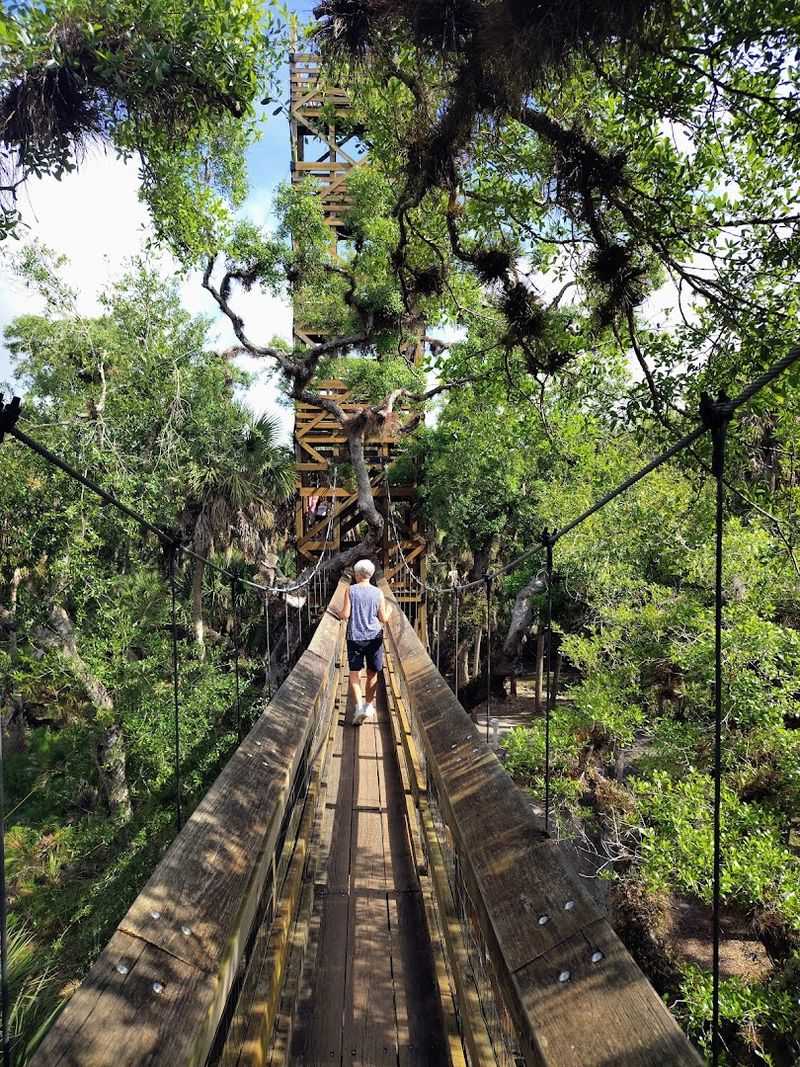 The Canopy Walk and Observation Tower
