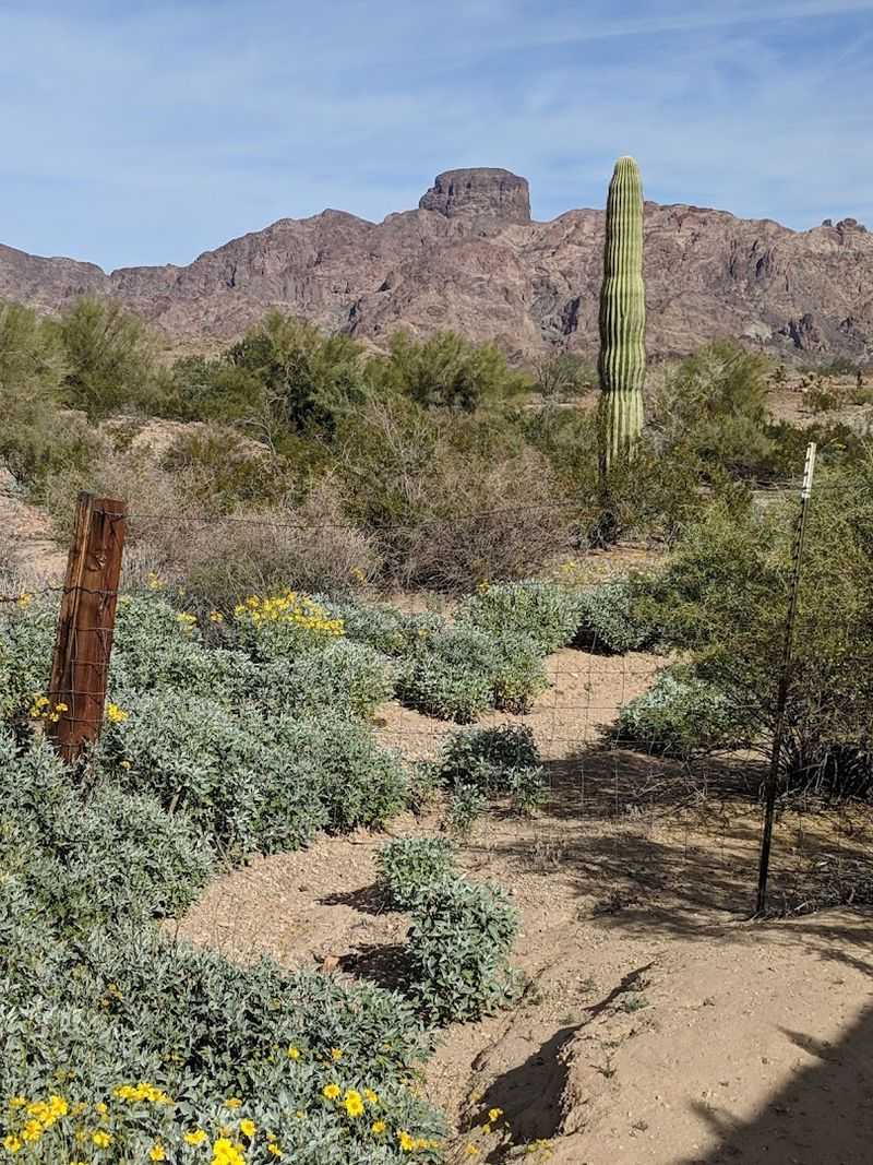 The Challenging but Rewarding 10-Mile Gravel Road