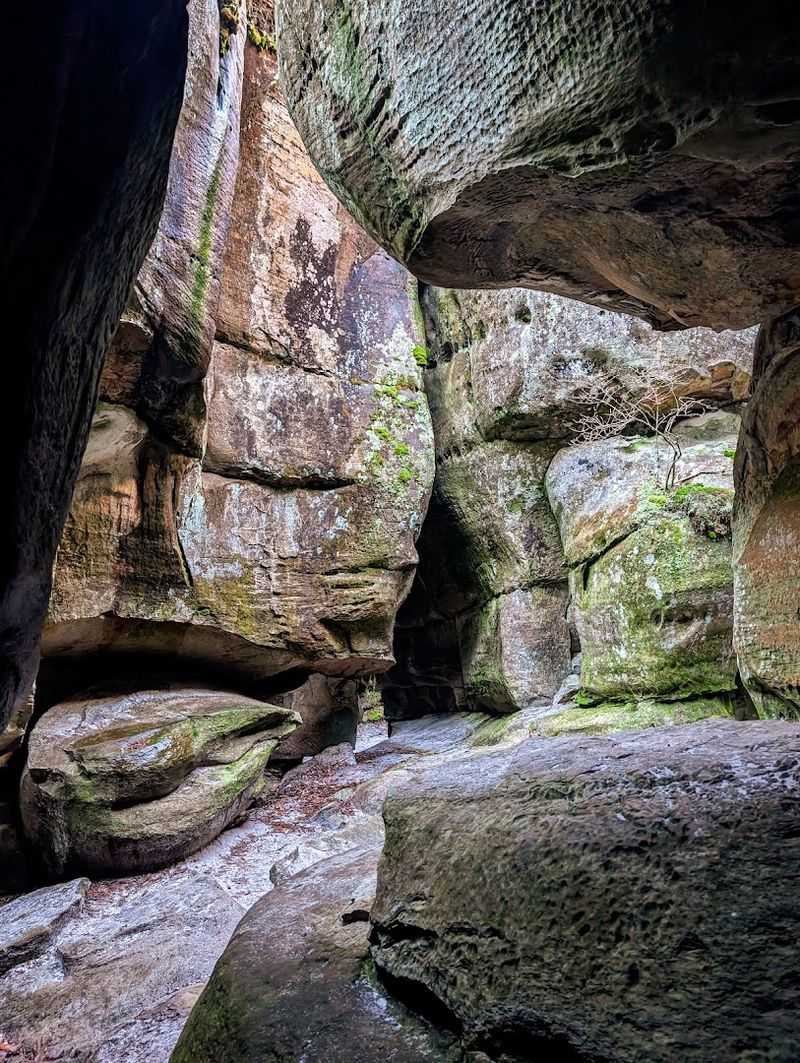The Channels Natural Area Preserve - Rosedale, Virginia