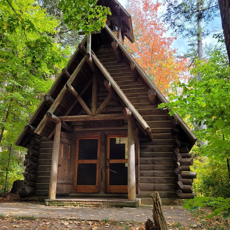 The Chapel in the Woods: A Surprising Forest Discovery